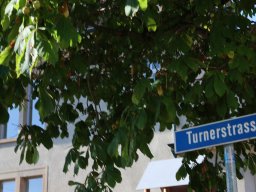 Photo-Walk Allschwil; Christian Guenat