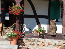 Photo-Walk Allschwil; Christian Guenat