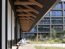 Photo Walk Allschwil; Friederike Gaiser
