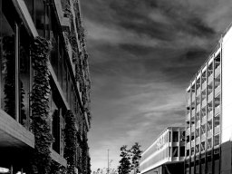 Photo Walk Allschwil; Thomas Zeyner